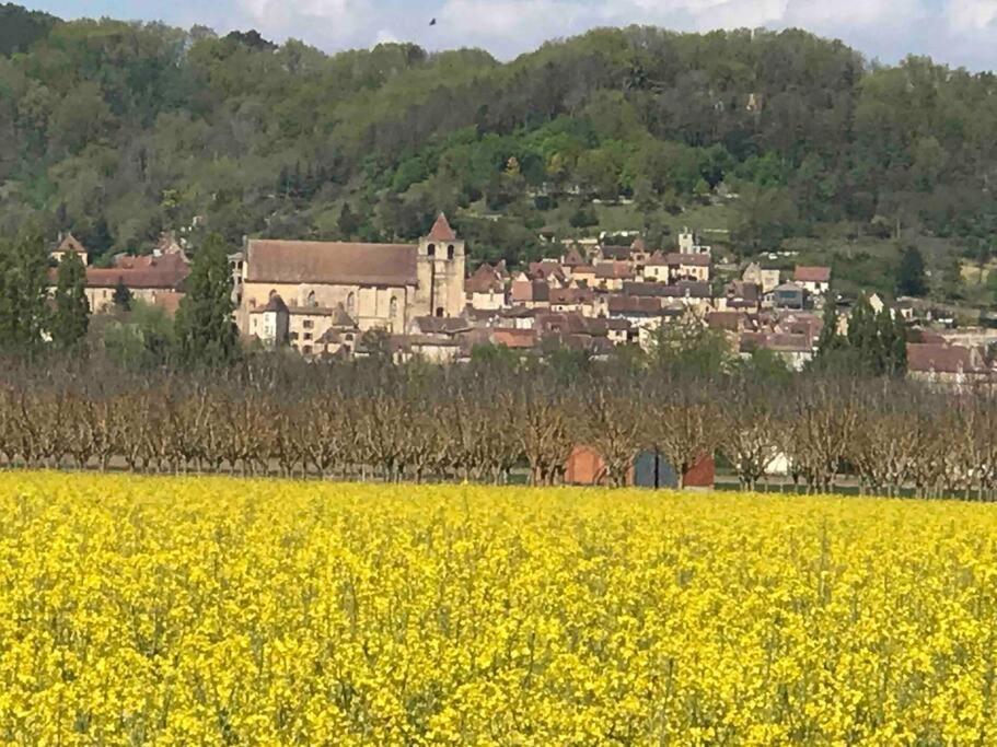 La Maison Du Puit Castels Esterno foto